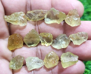 Stunning 13 Pcs Lot Yellow Heliodor Aquamarine Raw Size 11-18 mm Loose Gemstone - Picture 1 of 6