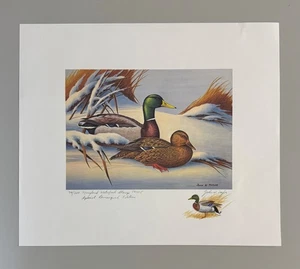 1974 Maryland Waterfowl Stamp & Print Special Remarque Edition by John W. Taylor - Picture 1 of 6