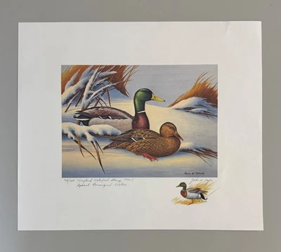 1974 Maryland Waterfowl Stamp & Print Special Remarque Edition by John W. Taylor - Image 1 of 4