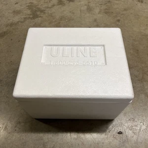 ULINE Small Styrofoam Shipping Box Insulated Cooler Cold Shipper 8x6x4.5" Inside - Picture 1 of 8