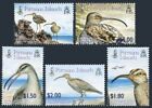 Pitcairn 622-626,626a, MNH. Oiseaux 2005. Courlis à poils.