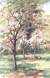ANTIQUE Tuck's Oilette Picturesque Devon POSTCARD - UNUSED - Picture 1 of 2