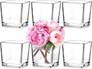Set of 6 Square Glass Vases 5" x5" x 5", Clear Flower for 5inch,  - Picture 1 of 7