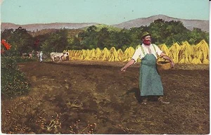 Austria - Farmer old postcard - Picture 1 of 2