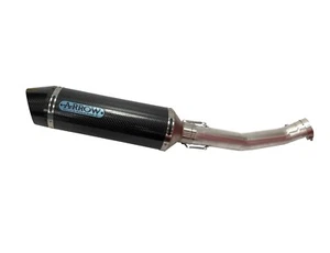 Tapa de carbono 4:1 escape sin cordones flecha carbono 4:1 Suzuki GSXR1000 07 2007 08 k7 k8 - Imagen 1 de 2