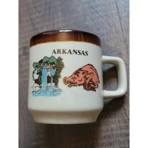 Arkansas Kaffeebecher Souvenir Wasserfall Schwein braun glasierter Rand Sammlerstück - Bild 1 von 4