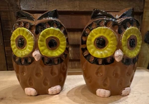 Vintage Large Owl Hand Painted Made in Japan Salt and Pepper Shakers - Picture 1 of 6