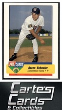 Aaron Schooler 1994 Fleer ProCards #3732  Elizabethton Twins