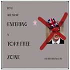 Tory Free Zone poster prints wall art