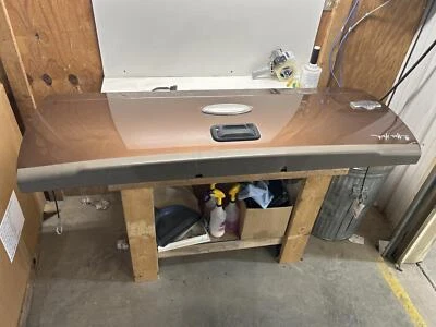 2008-2012 Ford F250 Super Duty Lid/Gate; W/Camera/Spray Liner, Bent/DIngs Foto 1 de 4