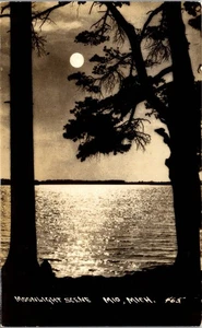 Vintage Michigan MI RPPC Postcard Moon Moonlight Lake Mio c1940 Oscoda County - Picture 1 of 3