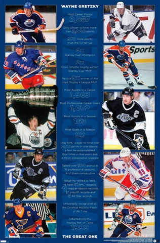 Wayne Gretzky Career Retrospective 1979-99 Oilers Kings Rangers 22x34 POSTER Cover