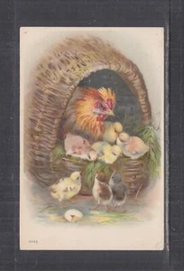 NEW SOUTH WALES, ORANGE cds., 1909 ppc. Chicken & Chicks, 1d. to Warrumbungle. - Picture 1 of 1