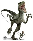 Official Jurassic World Velociraptor Charlie Cardboard Cutout with FREE Mini