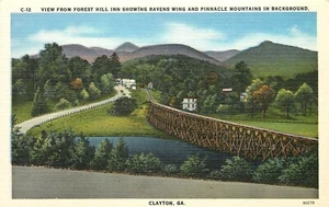 Forest Hill Inn Ravens Wing Pinnacle Mountains Clayton Georgia GA Postcard - Imagen 1 de 2