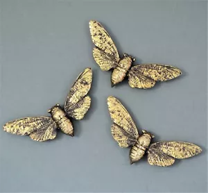 3pc Steampunk Gold Finished Bee Wings Wall Hanging Insect Bug Ornament Décor - Picture 1 of 5