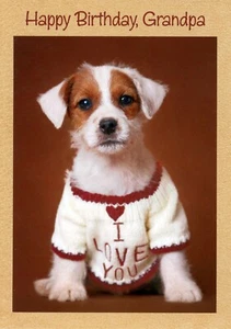 Linda Tarjeta de CUMPLEAÑOS PARA ABUELO, Perro Cachorro Jack Russel Love You Camisa por RSVP +✉ - Imagen 1 de 5