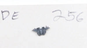 REPUESTO TRASERO TORSO ELDAR OSCURO JUEGOS TALLER WARHAMMER DE256 - Imagen 1 de 1