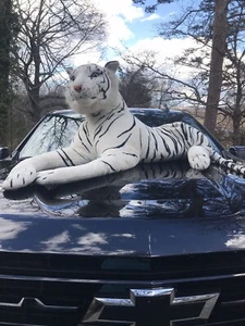 Tiger Stuffed Plush Large Life Size Giant Lying Soft Toy Realistic White Cat - Picture 1 of 6