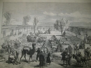 Antique 1874 Captain Orde Brown's Party near Cairo Egypt Wood Engraving PRINT - Picture 1 of 3