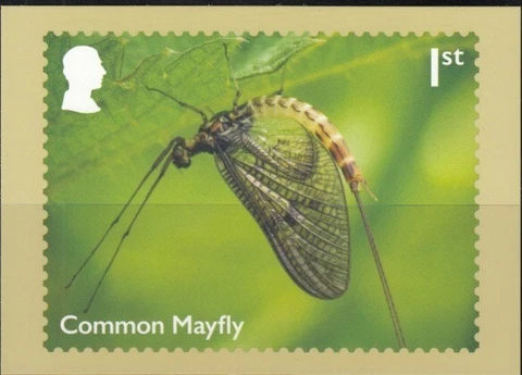 GREAT BRITAIN River Wildlife-Common Mayfly PHQ Card Cover