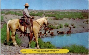Tremonton UT Chase's Cafe Crossroads Cowboy Horse Rider Cows postcard GP5 - Picture 1 of 2