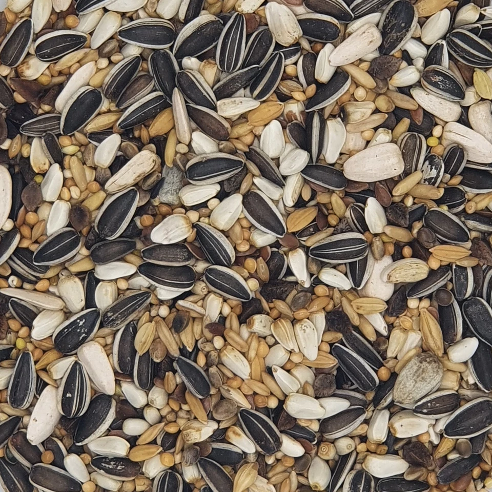 Versele Großsittiche Standard Prestige 20kg + 2kg Promo