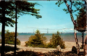 Mackinac Straits Bridge Mackinaw City Michigan, cartolina d'epoca cromata non spedita - Foto 1 di 2