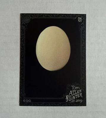 2019 Topps Allen Ginter X Egg RC #213 - Image 1 of 2