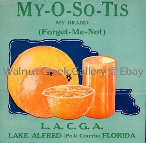 Florida Fruit Crate Label Fine Art Print, Juice, approx 10.8" x 11" 12881 - Picture 1 of 1