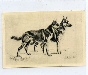 (Gd5503) Lambert & Butler, Overseas, Etchings of Dogs, Large #7, 1928 EX - Picture 1 of 4