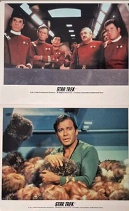 Star Trek Original Series Vintage Glossy Photos Tribbles 10" x 8" - Picture 1 of 4