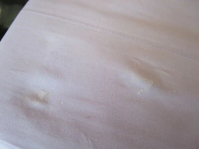 Juego de sábanas Pottery Barn Teen clásico reina 1 pieza pastel lila foto vendedor muestra Foto 1 de 4