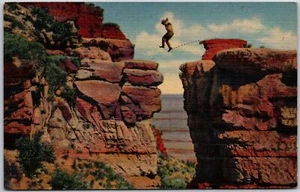 Arizona AZ, Leap For Life, By Park Ranger, Grand Canyon Park, Vintage Postcard - Picture 1 of 2