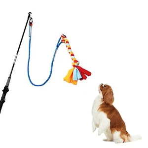 Flirt Pole for Dogs with Chewing Toy Long for Exercise Outdoor Playing - Picture 1 of 9