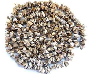 CUENTAS DE CHIPS DE PIEDRAS PRECIOSAS DE JASPE DE IMAGEN DE 8-4 mm hebra de 35" - Imagen 1 de 2