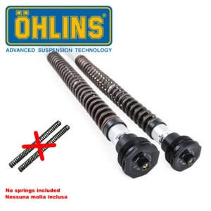 2007 Harley Davidson SPORTSTER XL1200 FORTY EIGHT > 2015 OHLINS NIX 22 CARTRIDGE - Picture 1 of 1