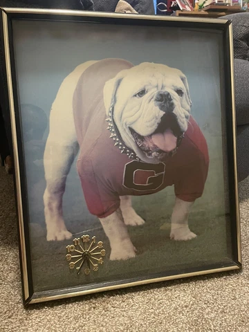 Vintage Georgia Bulldogs Clock Picture Cover