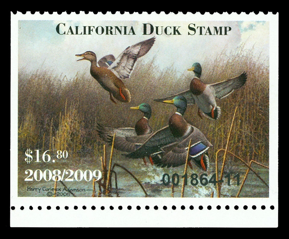 Scott CA39 2008 $16.80 California Duck Stamp Mint VF OG NH Cat $24 - Image 1 of 1