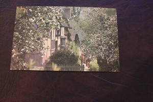 Anne Hathaway's Cottage, from the orchard - A Jarrold Card