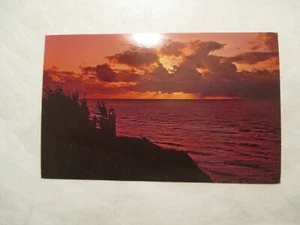 Washington Postcard Windswept North Head WA WN - Picture 1 of 2