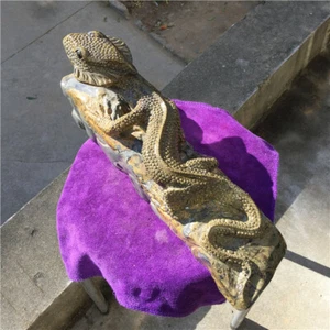 Rare Diospyros ebenum Koenig,Master carving, full of dynamic Lizard statue  X641 - Picture 1 of 12