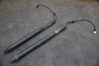 Juego 2 Tapa maletero puerta levadiza amortiguador puntal husillo 51247294469 BMW X5 F15 F85 2014-18 Foto 1 de 4