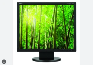 NEC Accusync AS173M-BK 17" 1280X1024 LED Backlit LCD Display Monitor - Picture 1 of 4