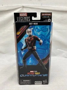 Marvel Legends Ant-Man, Ant-Man & The Wasp: Quantumania 6" Action Figure - Picture 1 of 2