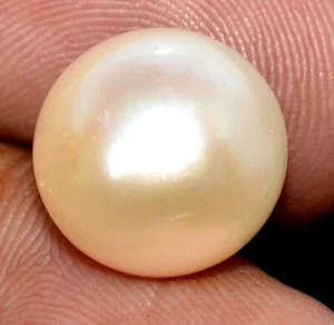 11.77 Cts Natural Fresh Water Pearl Round Cabochon 12.50 mm Loose Gemstone - Picture 1 of 7