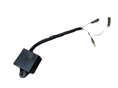 Kawasaki KDX 200 CDI 1994 caja encendido OEM KDX200 89-94 Foto 1 de 4