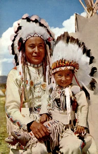 Cartolina Capo Papoose Indiano Nativi Americani Vecchia Cartolina d'epoca Vista Standard PC - Foto 1 di 1