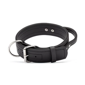 Viper Biothane Working Dog Collar + Built-in Handle - Stainless Steel Hardware - Picture 1 of 2