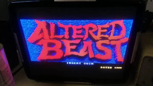 PCB " ALTERED BEAST " JAMMA - Foto 1 di 5
